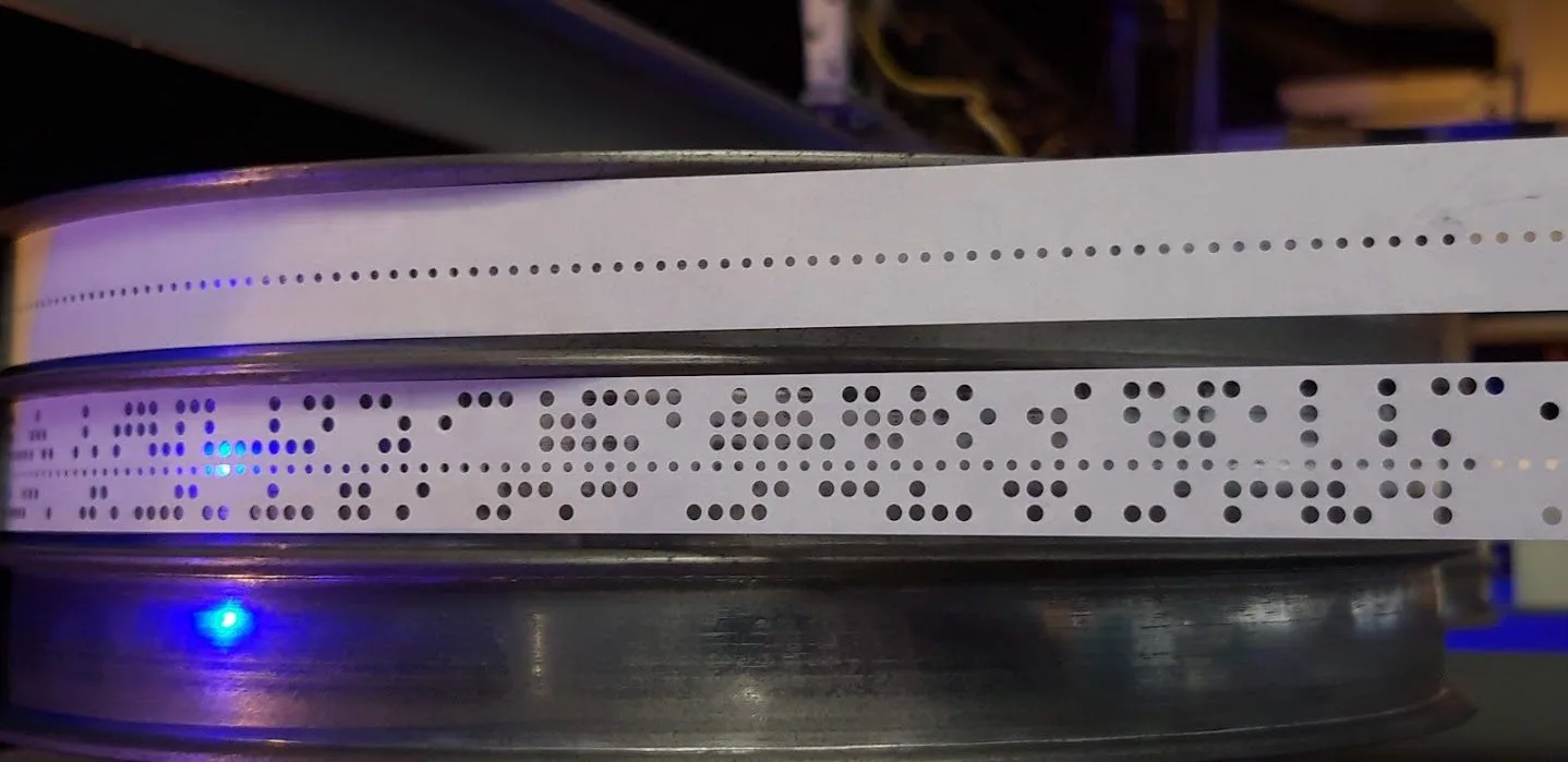 Magnitude Beats Phase in Hybrid Quantum ML for SAR