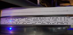 Magnitude Beats Phase in Hybrid Quantum ML for SAR
